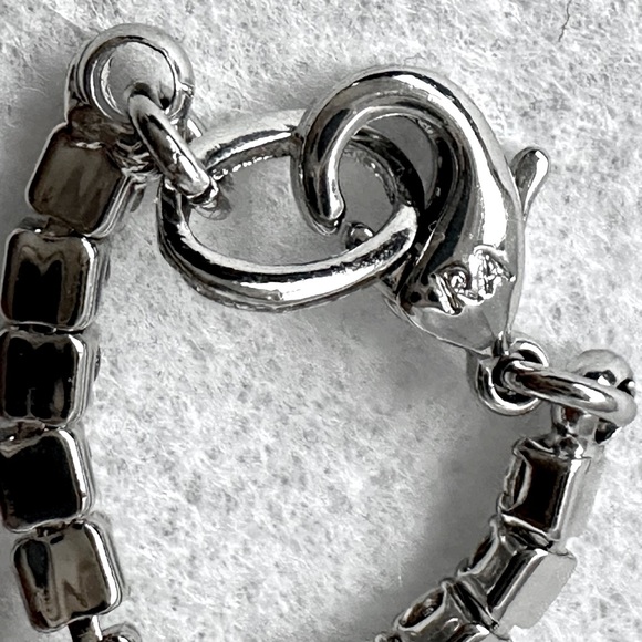 🎉3x HP!🎉 ROXANNE ASSOULIN ✨NWT✨ “On the Fringe” necklace, pouch, & free gift! - Picture 2 of 7